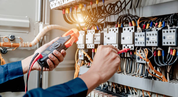 Best Electric Panel Repair  in Round Lake Park, IL