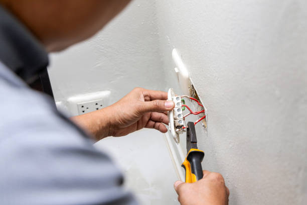 Best Licensed Electrician  in Round Lake Park, IL